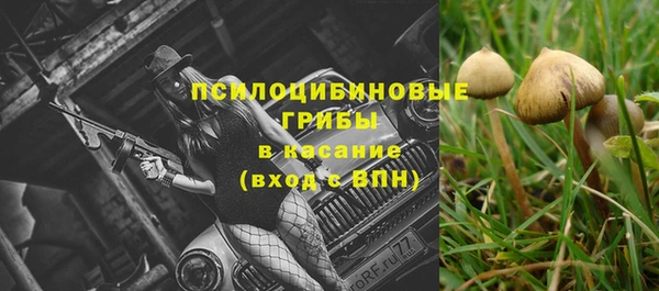 Альфа ПВП Богородицк