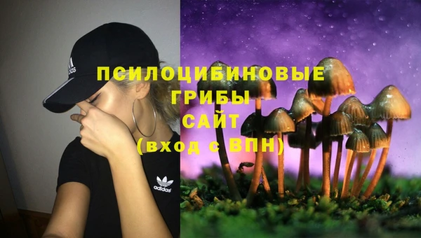 каннабис Богданович