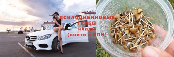 Альфа ПВП Богородицк