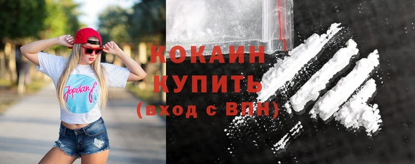 Альфа ПВП Богородицк