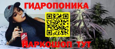 ПСИЛОЦИБИНОВЫЕ ГРИБЫ Кинель