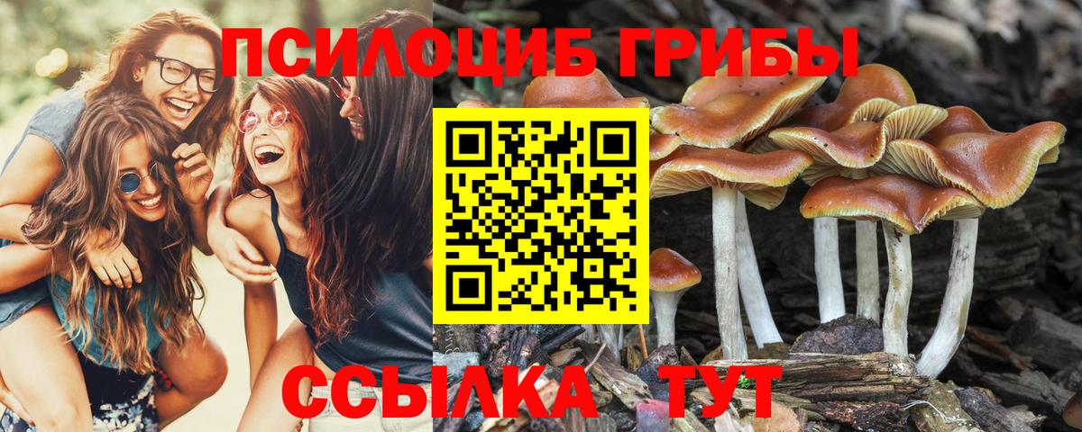 Среднеуральск  Псилоцибиновые грибы мицелий  Вход с VPN 